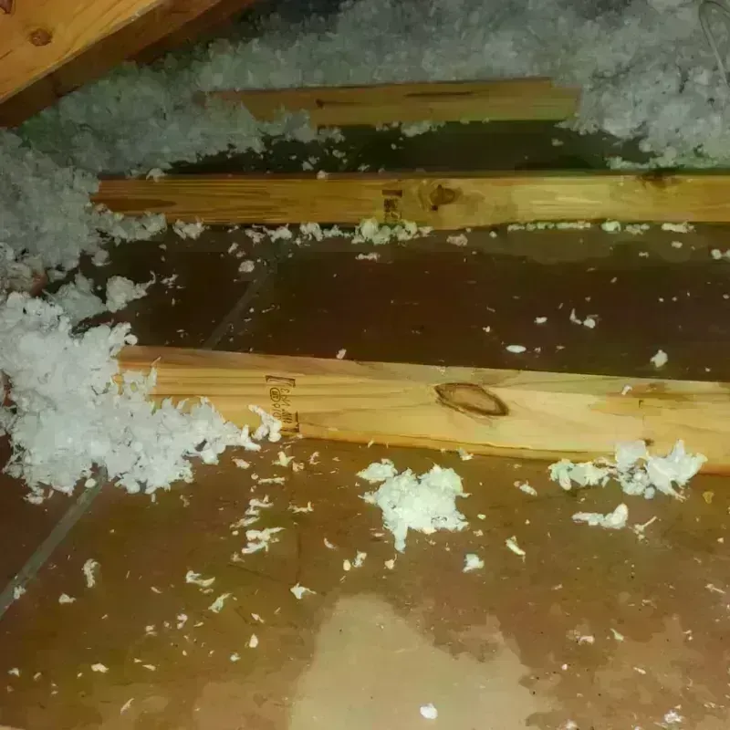 Attic Water Damage in Cotati, CA